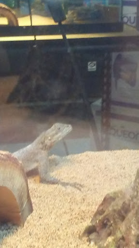 Pet Supply Store «Pet Supplies Plus», reviews and photos, 1377 N 21st St, Newark, OH 43055, USA