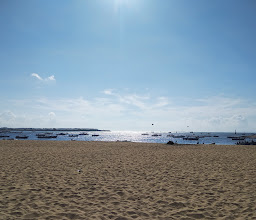 Barracuda Beach Club photo
