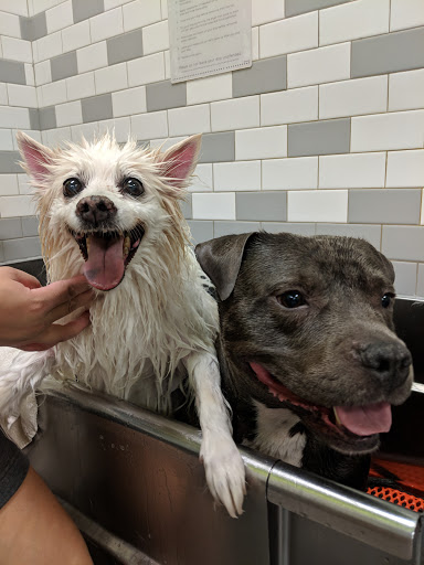 Pet Supply Store «Unleashed by Petco», reviews and photos, 20 Deer Shore Square A, North Babylon, NY 11703, USA