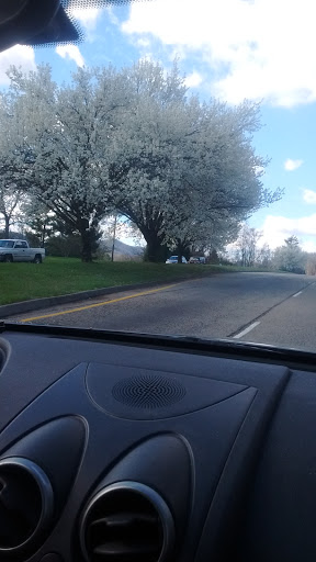 Golf Course «Pine Oaks Golf Course», reviews and photos, 1709 Buffalo Rd, Johnson City, TN 37604, USA