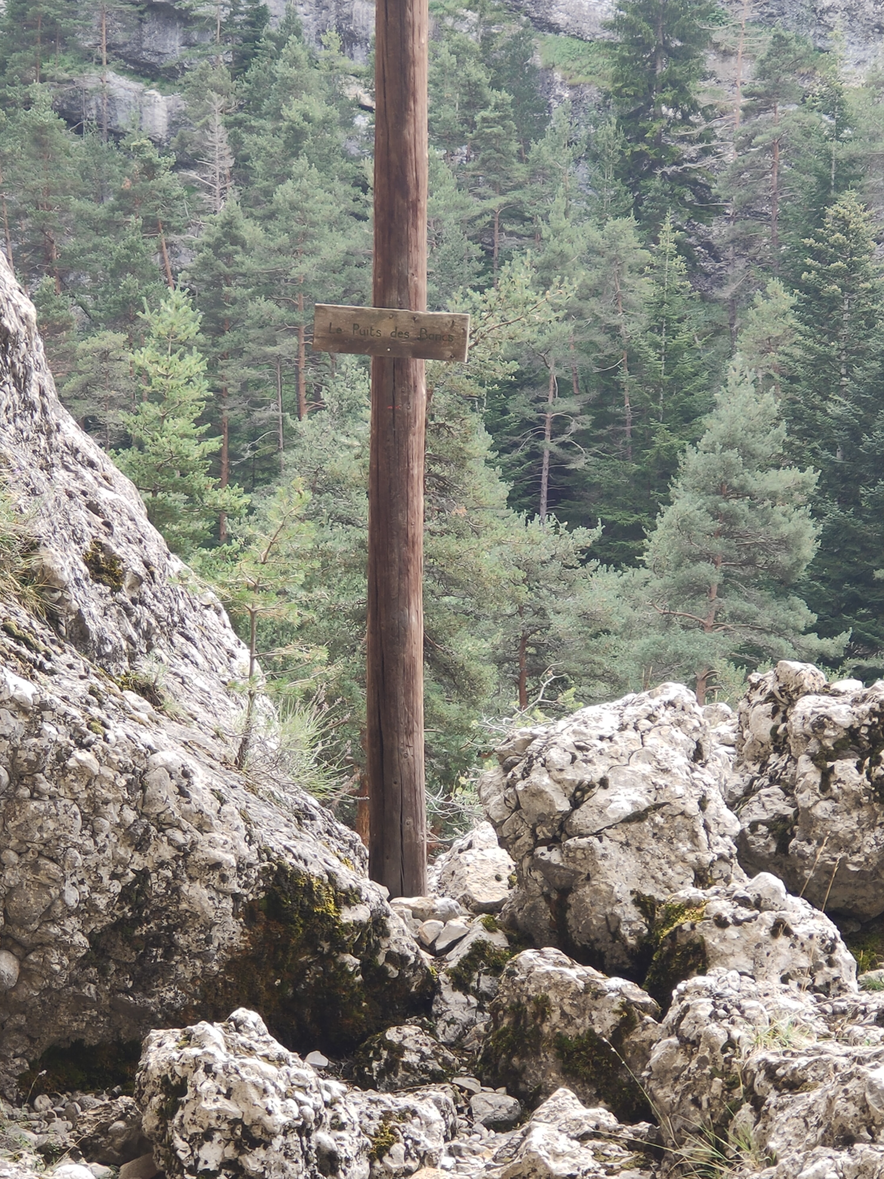 Photo n° 1 de l'avis de Carmaxoli. fait le 24/08/2020 à 16:06
