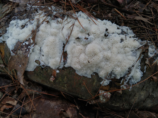 Golf Club «Crystal Lake Golf Club», reviews and photos, 940 N Broadway, Haverhill, MA 01832, USA