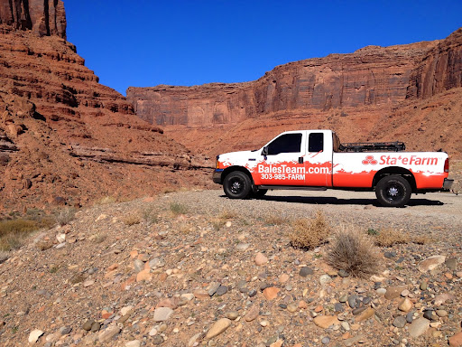 Auto Insurance Agency «State Farm: Randy Bales», reviews and photos