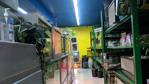 Pet Store «CUSTOM CREATURES PET SHOP», reviews and photos, 10727 N 19th Ave, Phoenix, AZ 85029, USA