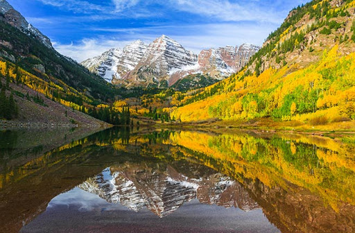Supermarket «Walmart Neighborhood Market», reviews and photos, 1885 N Pine Island Rd, Plantation, FL 33322, USA