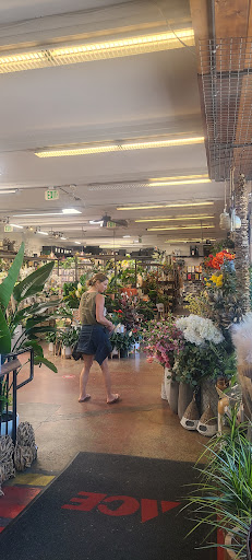 Hardware Store «Chase Ace Hardware Garden & Gift Emporium», reviews and photos, 1826 4th St, San Rafael, CA 94901, USA