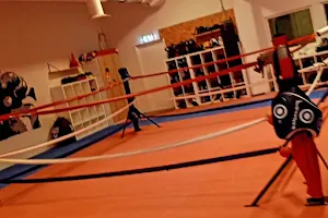 Nidaros Boxingclub image