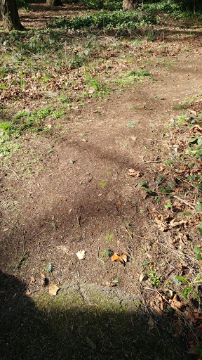 Park «Tukwila Park», reviews and photos, 15460 65th Ave S, Tukwila, WA 98188, USA