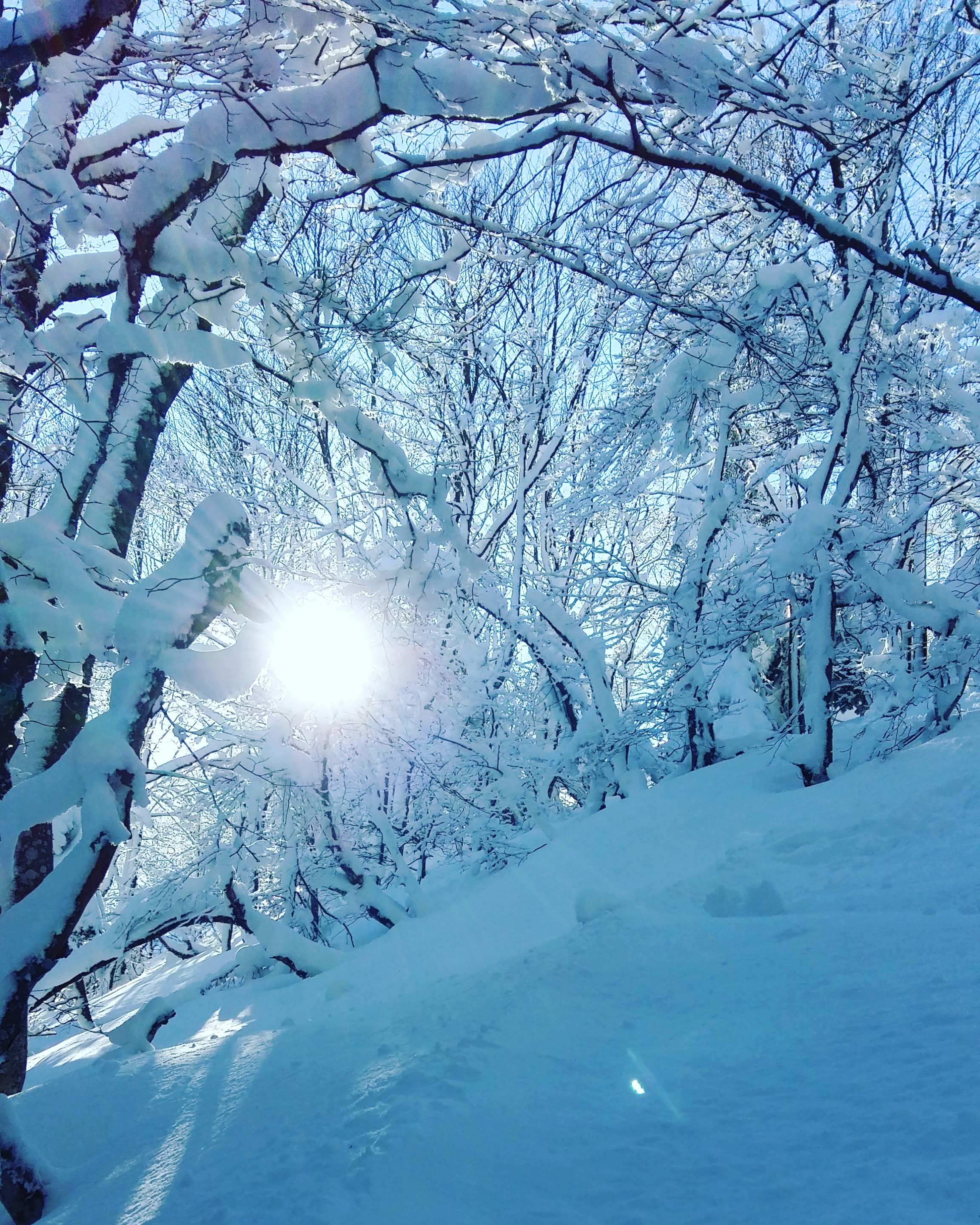 Photo n° 2 de l'avis de Antoine.o fait le 14/02/2018 à 07:15