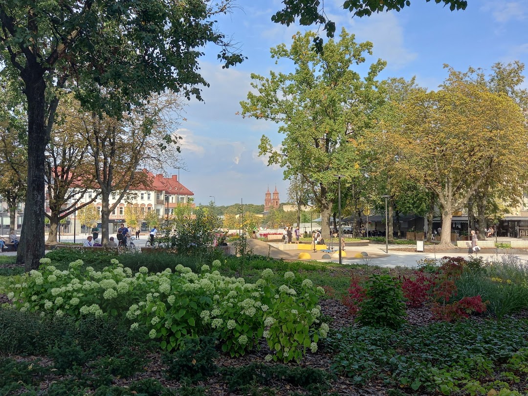 Panevėžys, Litvanya