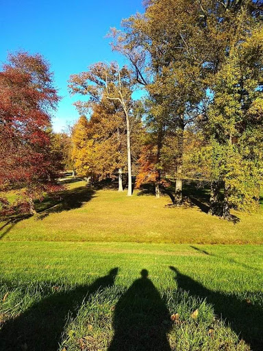 Public Golf Course «Calvert Road Park Disc Golf», reviews and photos, Campus Drive, College Park, MD 20740, USA