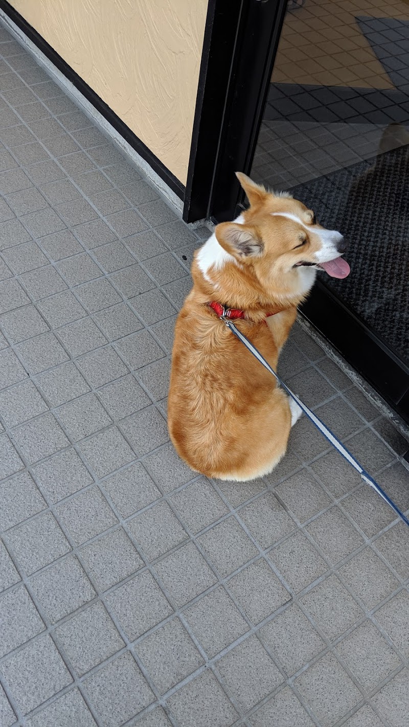 いなば動物病院