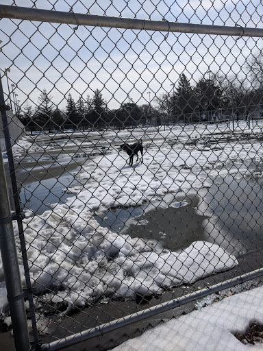 Park «Augsburg Park», reviews and photos, 7145 Wentworth Ave S, Richfield, MN 55423, USA