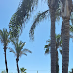 Photo n°15 de l'avis de Elisa.g fait le 07/09/2023 à 08:29 sur le  Hotel Mediterraneo à Santa Maria Navarrese (Ogliastra)