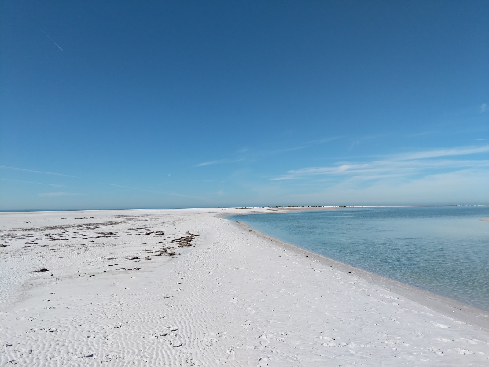 Photo of Fort desoto beach with long straight shore
