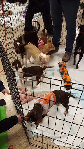 Pet Supply Store «PetSmart», reviews and photos, 2347 N Telegraph Rd, Monroe, MI 48162, USA