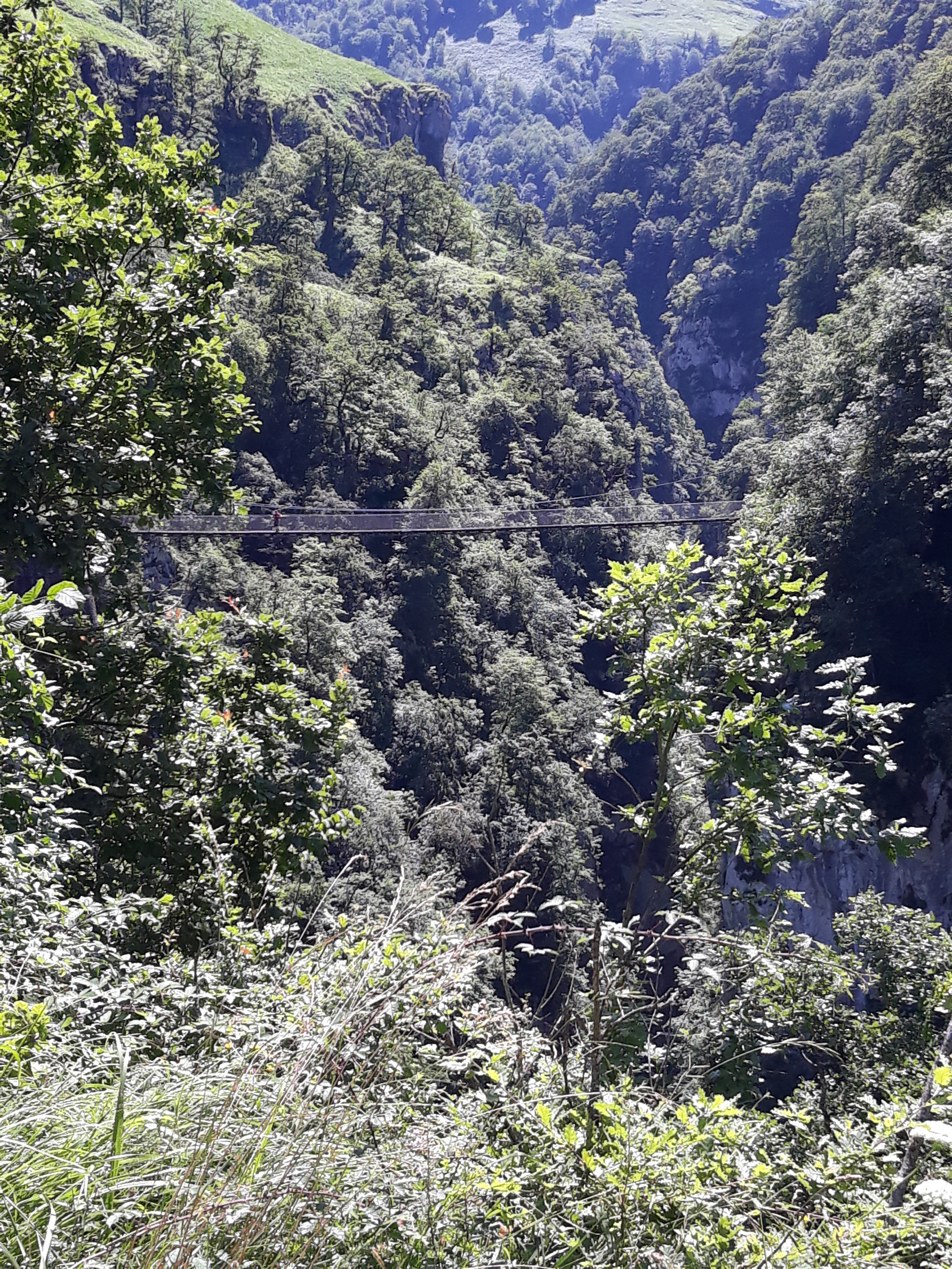 Photo n° 2 de l'avis de johan.e fait le 25/07/2018 à 08:04