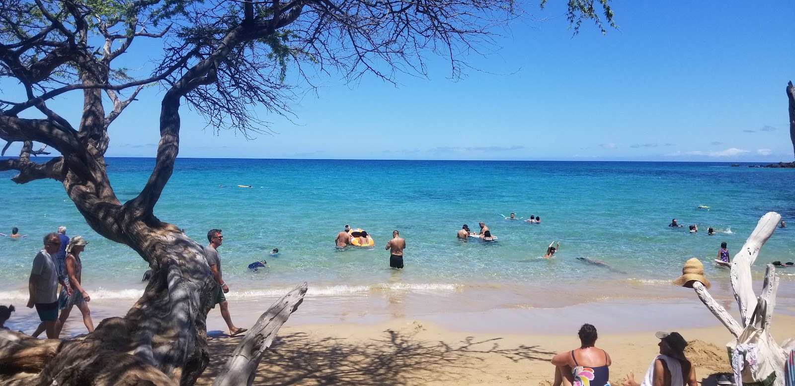 Waialea Beach的照片 位于自然区域