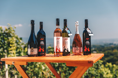 Vina Zajc, podjetje za proizvodnjo, prodajo in promocijo vina, d.o.o.