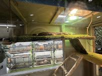 People's Pets - Photo 2 - Car repair in Philadelphia, PA, Philadelphia