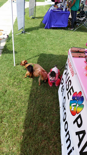 Pet Groomer «Pause 4 Paws Pet Grooming And Hotel», reviews and photos, 3770 W County Line Rd, Douglasville, GA 30135, USA