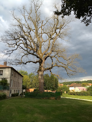 L'arbre sanglant à Vienne-le-Château