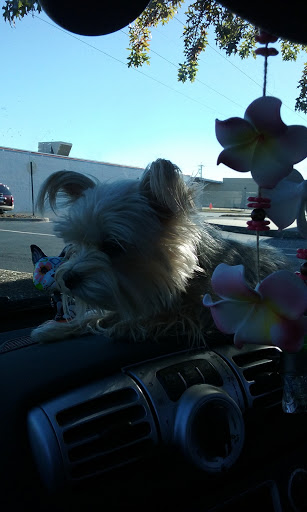 Craft Store «Michaels», reviews and photos, 4126 E McCain Blvd, North Little Rock, AR 72117, USA