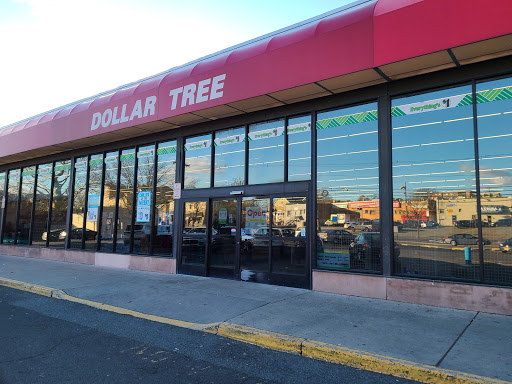Dollar Store «Dollar Tree», reviews and photos, 24 Portland Ave, Bergenfield, NJ 07621, USA