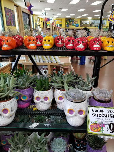 Shopping Mall «Acadian Village Shopping Center», reviews and photos, 3535 Perkins Rd, Baton Rouge, LA 70808, USA