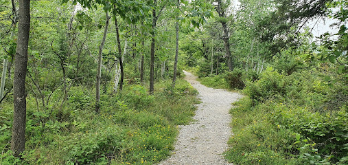 Noble Nature Trail (beginig)