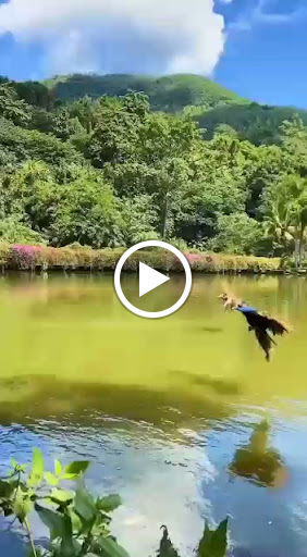 Ducati Dealer «AMS Ducati Dallas», reviews and photos, 1318 N Riverfront Blvd, Dallas, TX 75207, USA