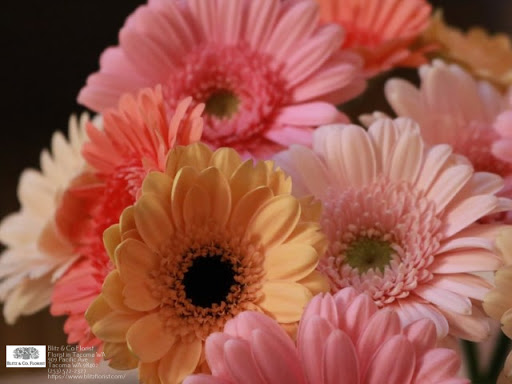 Florist «Blitz & Co Florist», reviews and photos, 909 Pacific Ave, Tacoma, WA 98402, USA