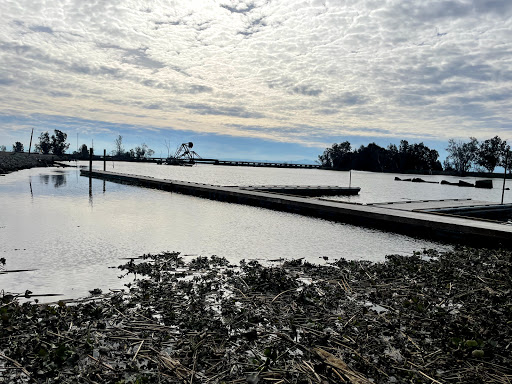 Marina «Bullfrog Marina», reviews and photos, 17251 Bacon Island Rd, Stockton, CA 95219, USA