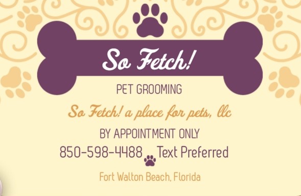 So Fetch! A Place for Pets - Pet Grooming