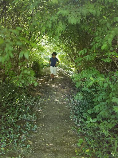 Park «Stringtown Park», reviews and photos, 7340 Burlington Pike, Florence, KY 41042, USA