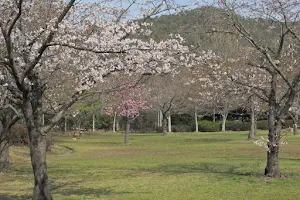 Miyaura Park image