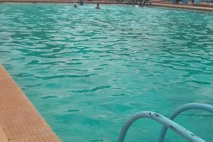 McDonald Park Swimming Pool / Avondale Swimming Pool image
