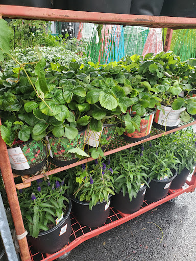 Home Improvement Store «The Home Depot», reviews and photos, 401 S Main St, Milltown, NJ 08850, USA