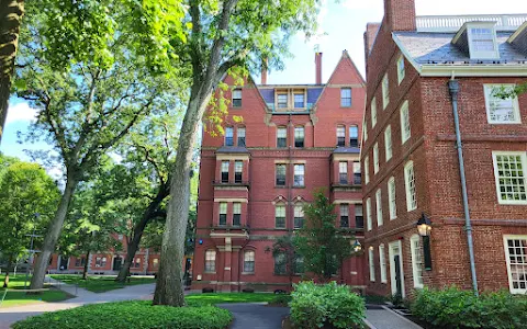 Harvard Yard image