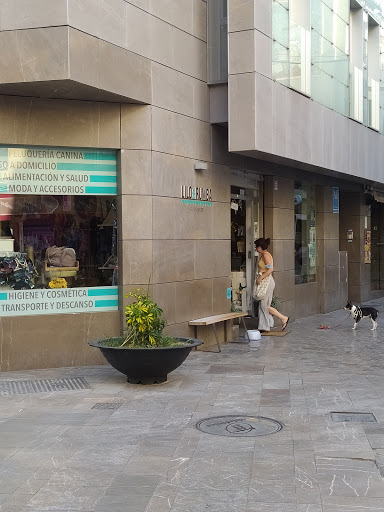 Lilo & Rumba: Tu tienda de productos para perros y gatos