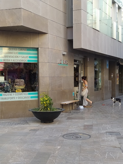 Lilo &amp; Rumba: Tu tienda de productos para perros y gatos - Servicios para mascota en Málaga