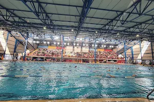 Papastratio Swimming image