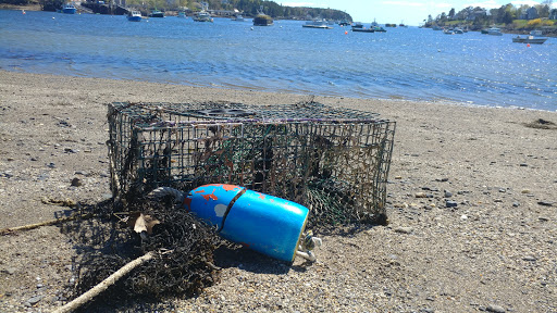 Nature Preserve «Johnson Field Preserve at Mackerel Cove», reviews and photos, 25 Abner Point Rd, Bailey Island, ME 04003, USA