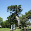 Mt. Zion Cemetery