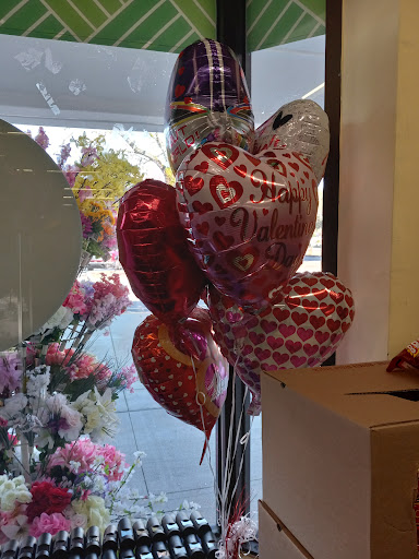 Dollar Store «Dollar Tree», reviews and photos, 1952 State Rd 44, New Smyrna Beach, FL 32168, USA