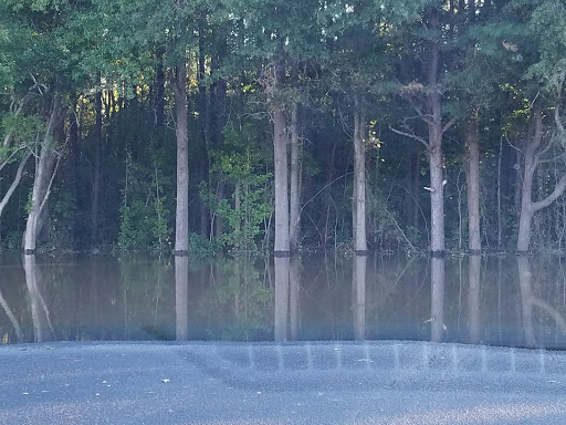 Grocery Store «Food Lion», reviews and photos, 802 Harbour W Dr, Rocky Mount, NC 27803, USA