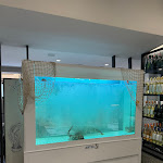 Photo n°1 de l'avis de Alessandra.r fait le 11/04/2024 à 09:27 sur le  Ristorante Karalis à Rome