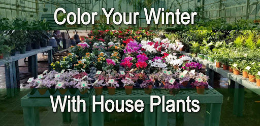 Garden Center «Westminster Nursery & Florist», reviews and photos, 30 Westminster Rd, West Hempstead, NY 11552, USA