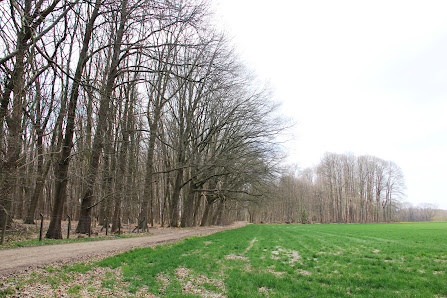 Kravaal - Kartelowandelpad Dendermondsesteenweg 48, 1730 Asse, Belgique