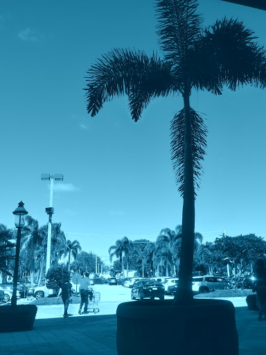 Book Store «Barnes & Noble Booksellers Boca Raton», reviews and photos, 1400 Glades Rd, Boca Raton, FL 33431, USA